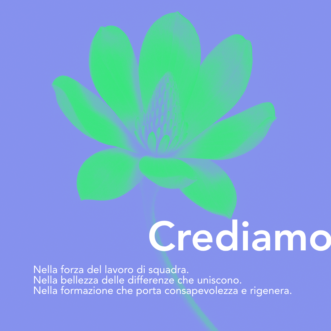manifesto-web-2