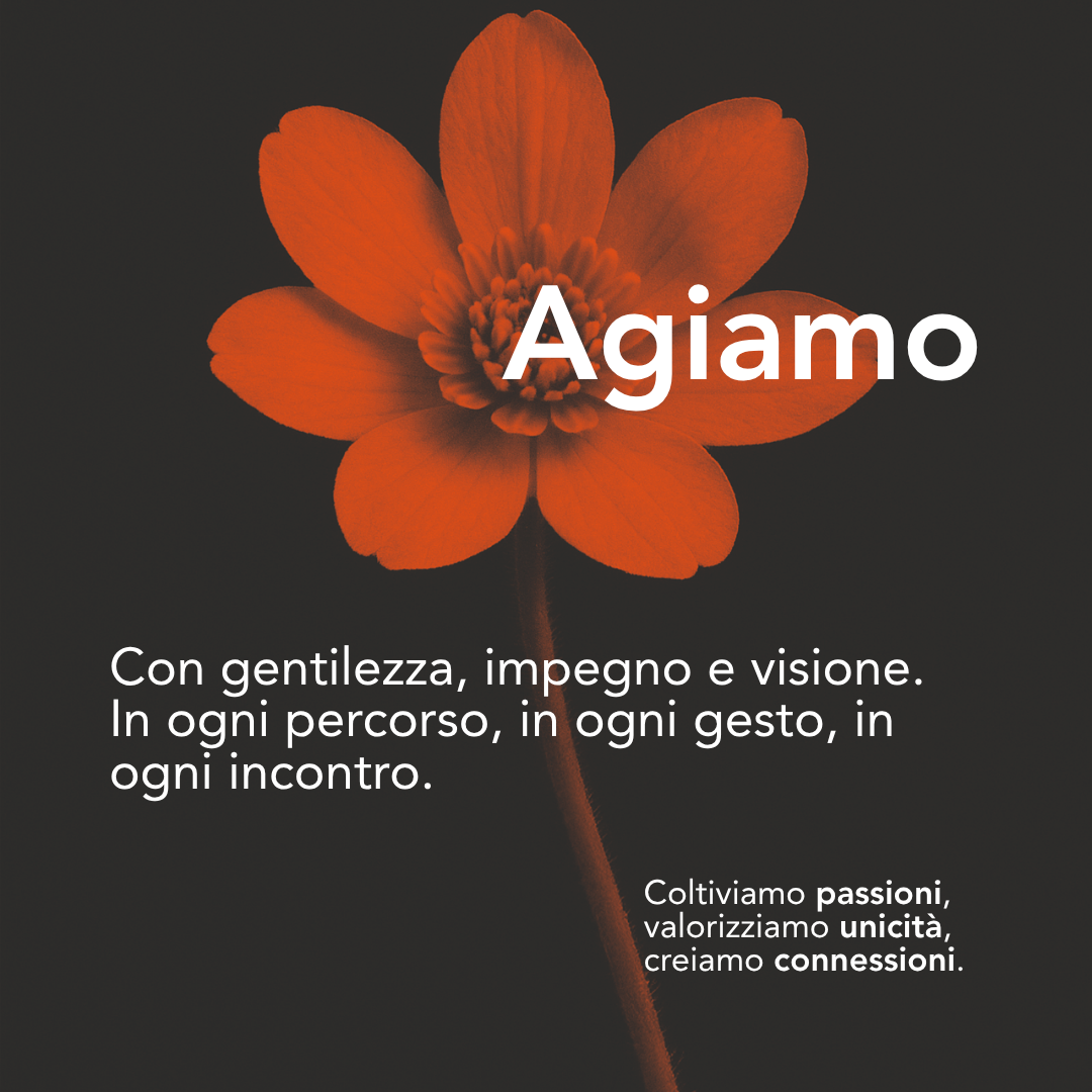 manifesto-web-3