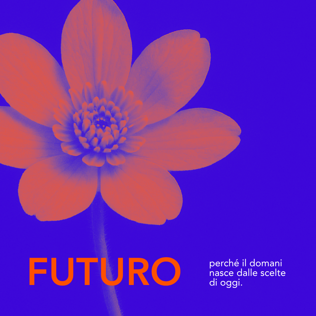 manifesto-web-6