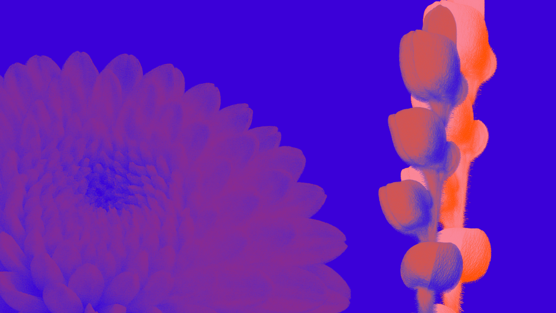 Copertina Bilancio